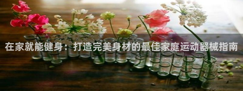 尊龙旗舰app：在家就能健身：打造完美身材的最佳家庭