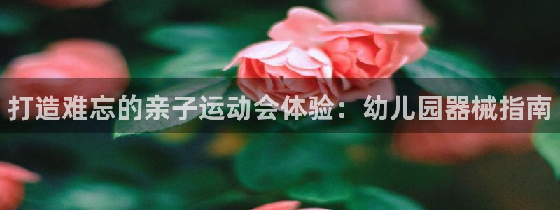 尊龙凯时平台还是万搏好：打造难忘的亲子运动会体验：幼