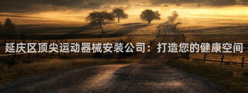 尊龙凯时是大平台吗：延庆区顶尖运动器械安装公司：打造