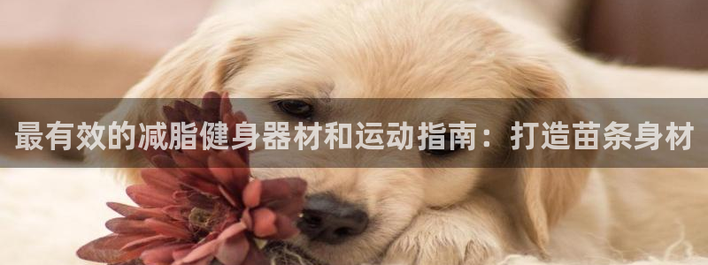 尊龙怎么没消息了：最有效的减脂健身器材和运动指南：打