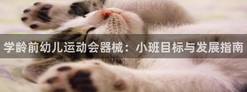 尊龙凯时人生就是博·(中国)官网官：学龄前幼儿运动会