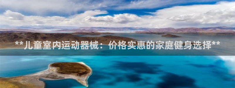 尊龙2020：**儿童室内运动器械：价格实惠的家庭健
