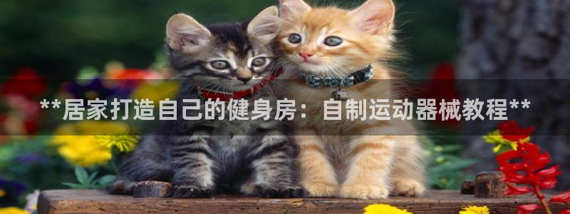 尊龙z6平台：**居家打造自己的健身房：自制运动器械教程**