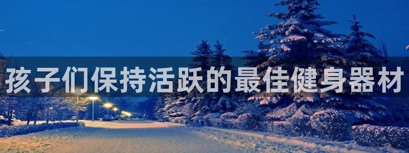 尊龙现金d88：孩子们保持活跃的最佳健身器材
