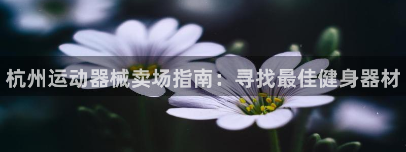 尊龙人生就是博旧版网址：杭州运动器械卖场指南：寻找最
