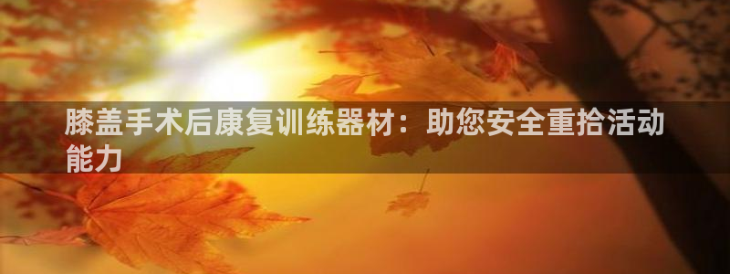 尊龙凯时logo：膝盖手术后康复训练器材：助您安全重