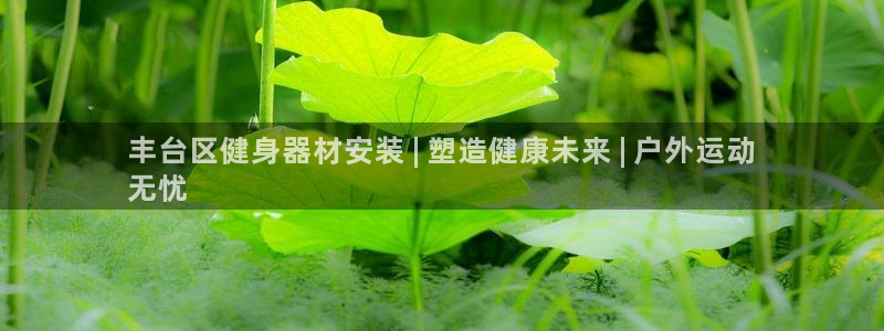 尊龙凯时只输不赢：丰台区健身器材安装 | 塑造健康未