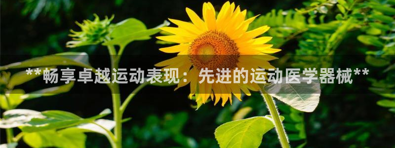 尊龙负面新闻：**畅享卓越运动表现：先进的运动医学器