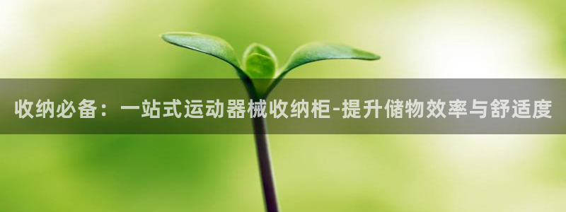 尊龙体育电竞官网