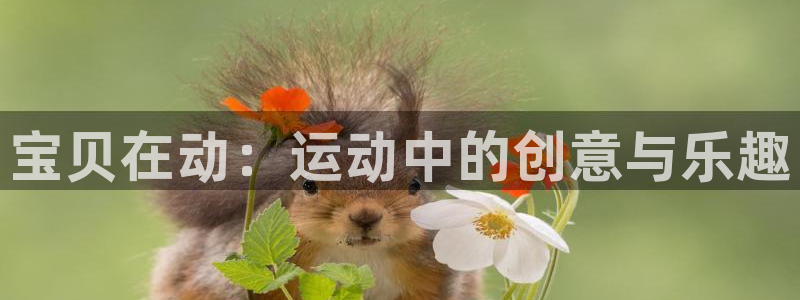 尊龙人生就是博AG
