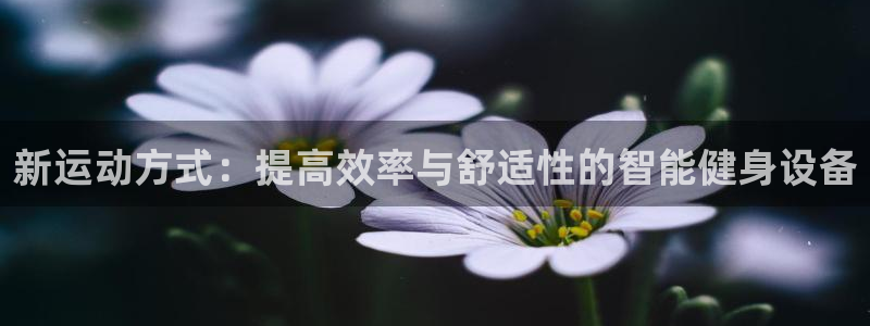 z6尊龙z6