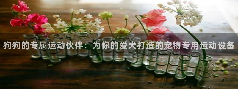 尊龙凯时能提现吗
