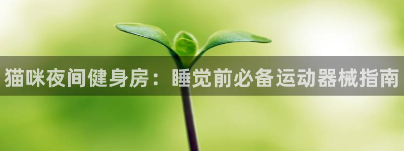 尊龙凯时人生就是搏官：猫咪夜间健身房：睡觉前必备运动