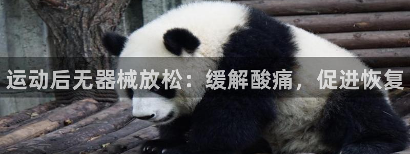 尊龙凯时出款：运动后无器械放松：缓解酸痛，促进恢复