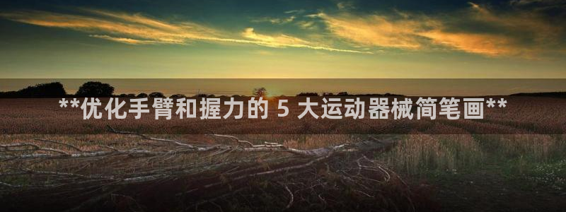 尊龙165：**优化手臂和握力的 5 大运动器械简笔
