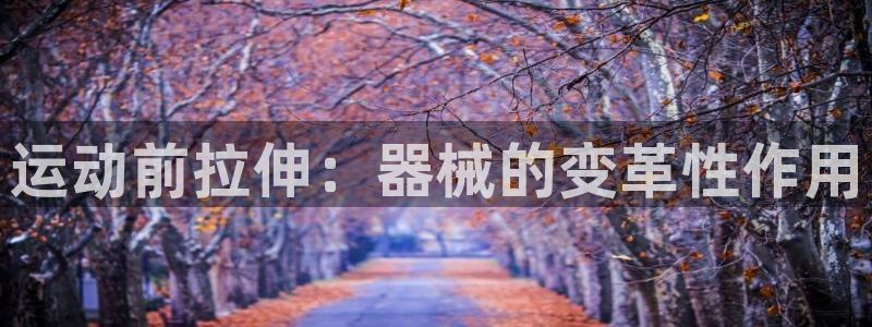 尊龙Ag：运动前拉伸：器械的变革性作用