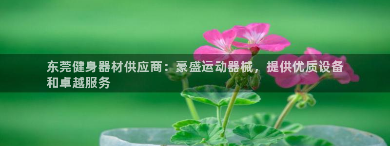 尊龙d88平台：东莞健身器材供应商：豪盛运动器械，提