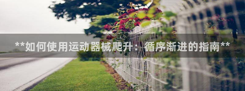 尊龙凯时ag旗舰：**如何使用运动器械爬升：循序渐进