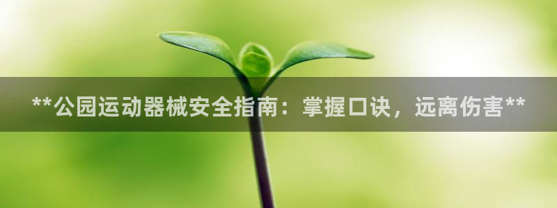 尊龙d88皆选ag发财网：**公园运动器械安全指南：