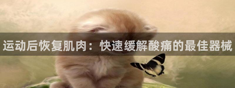 尊龙凯时有封银行卡的吗：运动后恢复肌肉：快速缓解酸痛的最佳器