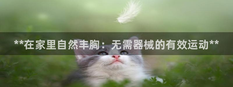 尊龙官网APP下载