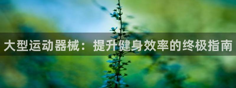 尊龙凯时网站是什么地方人开的：大型运动器械：提升健身效率的终