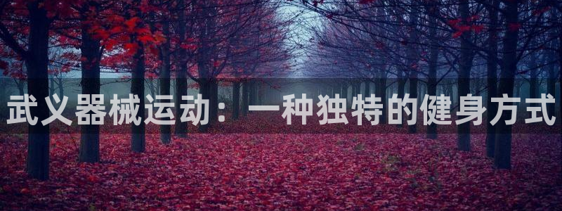 尊龙游戏官方网：武义器械运动：一种独特的健身方式