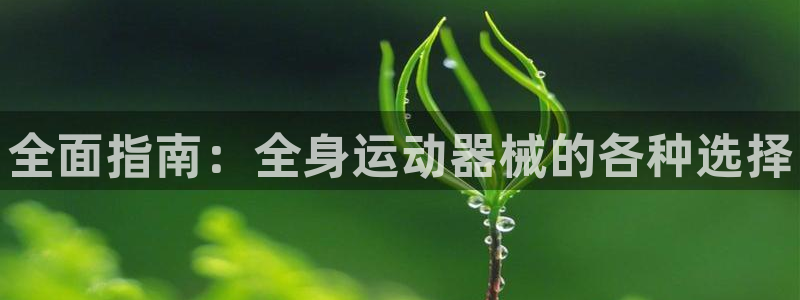 尊龙休闲e站怎么样：全面指南：全身运动器械的各种选择