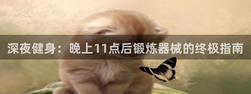 尊龙最经典的三个角色：深夜健身：晚上11点后锻炼器械的终极指