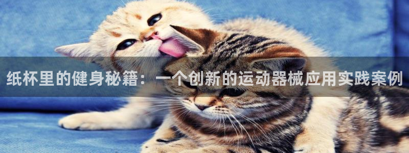 尊龙 国外：纸杯里的健身秘籍：一个创新的运动器械应用实践案例