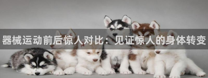 凯时k66登录：器械运动前后惊人对比：见证惊人的身体转变