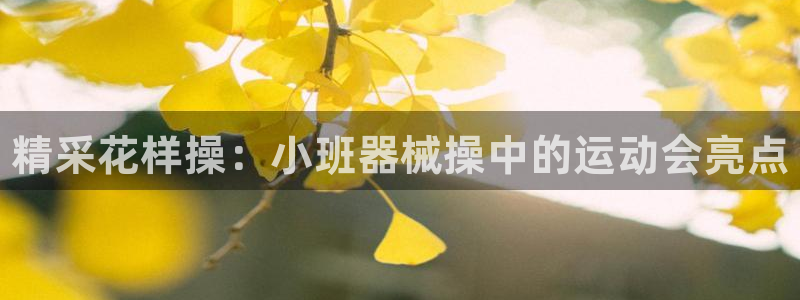 尊龙凯时ag旗舰厅：精采花样操：小班器械操中的运动会亮点