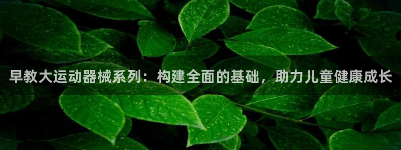 尊龙登录会员登录：早教大运动器械系列：构建全面的基础，助力儿